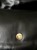 IMG_5462.jpeg